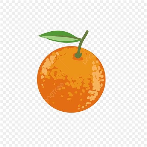 Orange Fruit Oranges Vector Hd Images, Orange Fruit Shape Fruit Orange ...