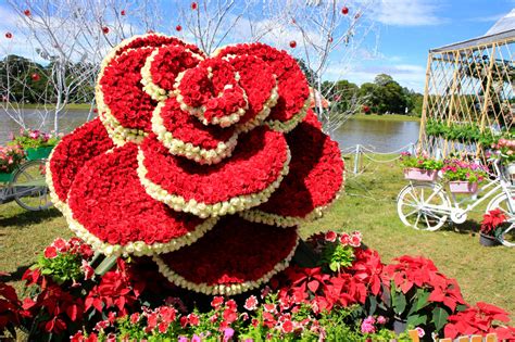 Flower Festival in Vietnam jigsaw puzzle in Flowers puzzles on ...