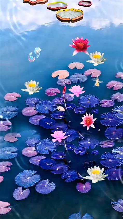 Beautiful Flowers Artofit