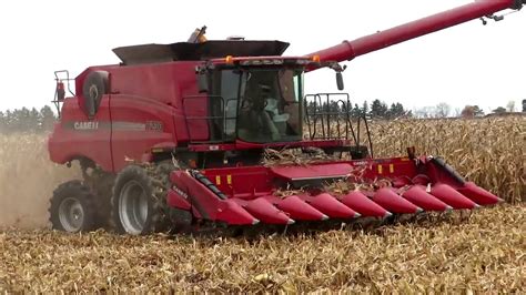 Corn Harvest 2020 Case IH 7230 Axial Flow Combine Harvesting Corn