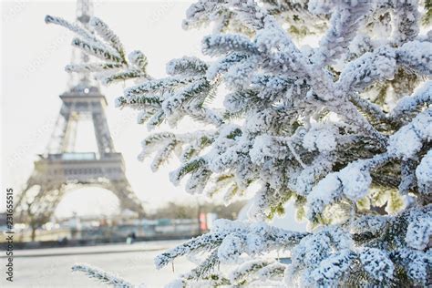 Christmas tree covered with snow near Eiffel tower Stock Photo | Adobe ...