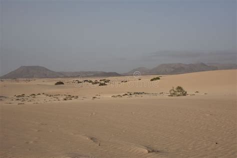 Desert Landscape with Mountains in the Background Stock Image - Image ...