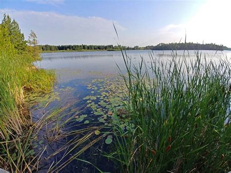 Hiking Island Lake Conservation Area Best Place To Hike In Orangeville