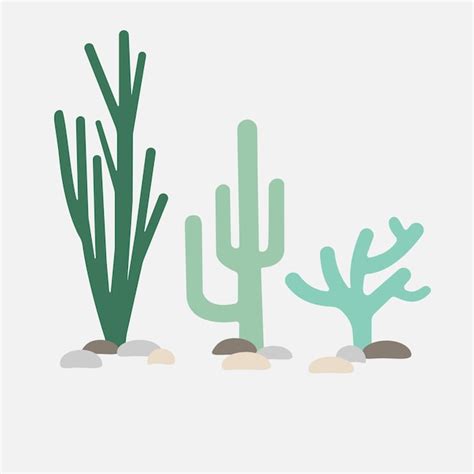 Ilustraci N De Tres Cactus De Dibujos Animados Vector Premium