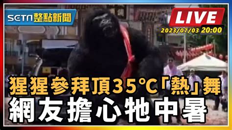 【setn整點新聞】猩猩參拜頂35℃「熱」舞 網友擔心牠中暑｜三立新聞網 Youtube