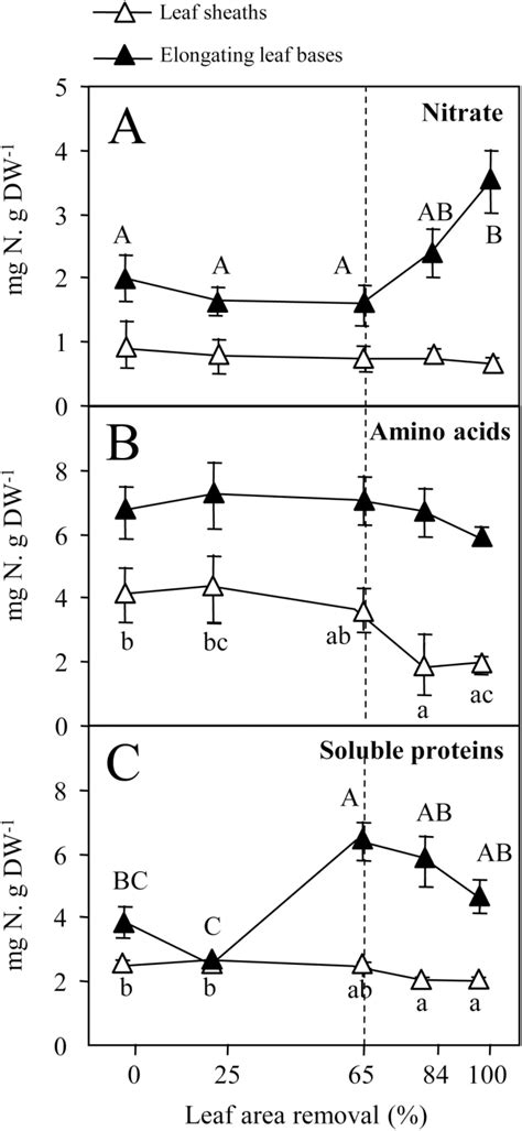 Short Term Effects Of Defoliation Intensity On Sugar Remobilization And