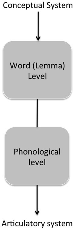 Two Stage Psycholinguistic Model Of Speech Production Download