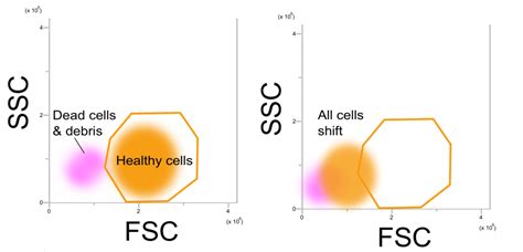 How To Prepare A Good Single Cell Suspension