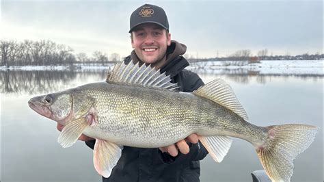 Early Spring Mississippi River Walleyes March Youtube