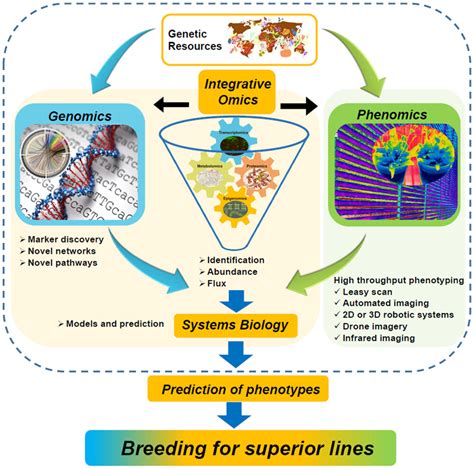 Systems Biology For Crop Improvement Pazhamala 2021 The Plant