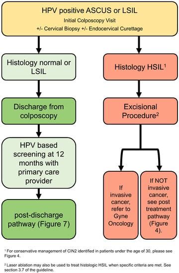 Current Oncology | Free Full-Text | 2023 Canadian Colposcopy Guideline: A Risk-Based Approach to ...