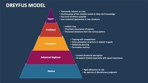 Dreyfus Model PowerPoint Presentation Slides - PPT Template