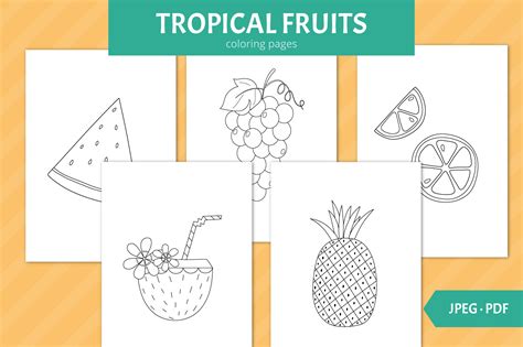 Tropical Fruits Coloring Pages Graphic by ikoecat · Creative Fabrica