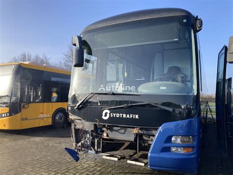 Man Lions Regio Berlandbus Kaufen D Nemark Christiansfeld Lr