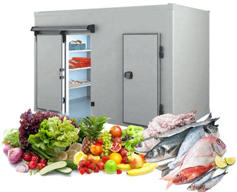 Blast Freezer Cold Room For Chicken And Meat Cold Rooms Manufacturer