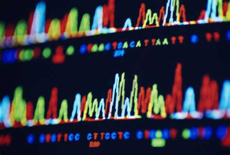 Spectroscopy Definition and Difference vs Spectrometry