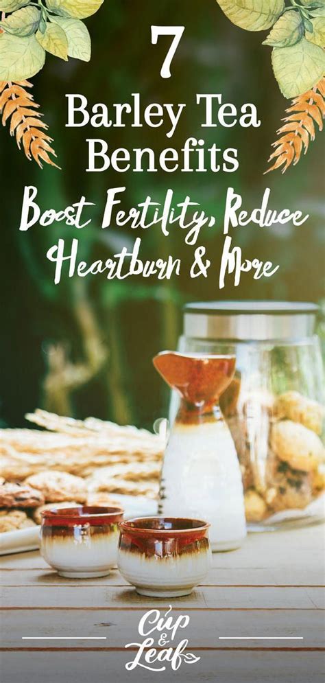 Barley Tea Benefits Boost Fertility Reduce Heartburn And More Tea