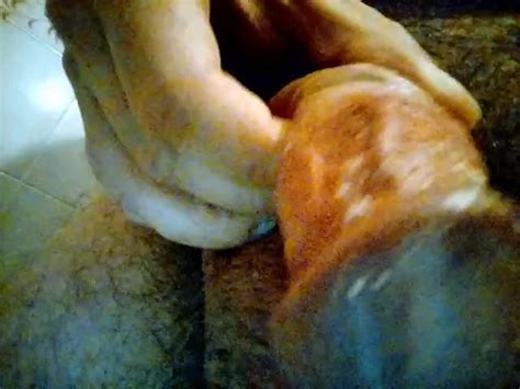 Kocalos Cheesy Cock Gay Porn Xhamster