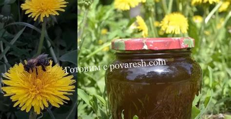 Варенье из одуванчиков с лимоном: рецепт одуванчикового варенья на зиму