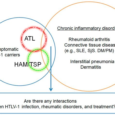 Human T Cell Leukemia Virus Type 1 Htlv 1 Infection In Chronic