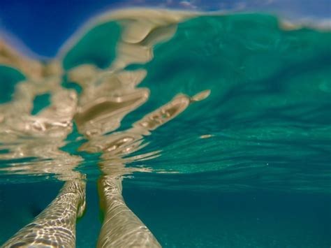 Premium Photo Low Section Of Person Swimming In Sea