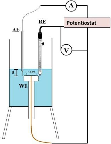 Experimental Set Up For Electrochemical Measurements Download