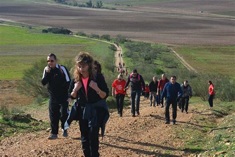 Daganzo Acoge La Cuarta Ruta Del Camino De Cervantes Dedicada A La