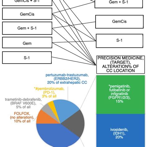 Current Standard Therapy For Unresectable Biliary Tract Cancer