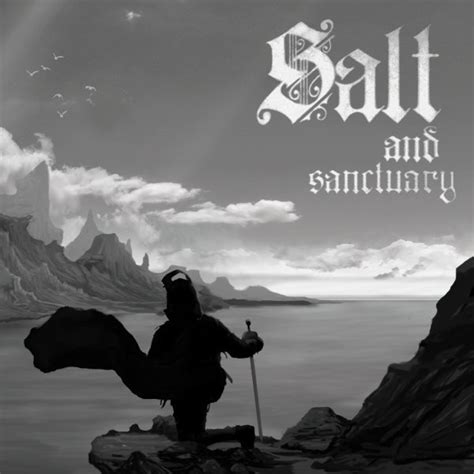 Carátula De Salt And Sanctuary Para Switch