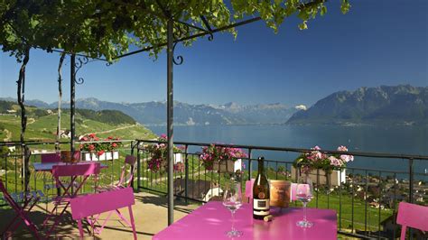 Hidden Gem: Switzerland’s Lavaux Vineyard Terraces – Enobytes