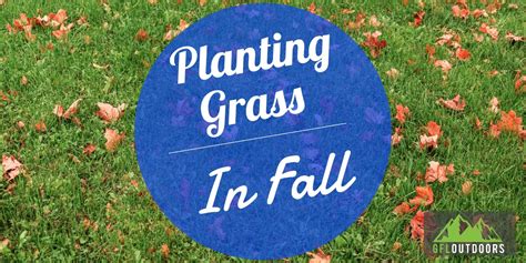 How Late In The Fall Can You Plant Grass Seed Gfl Outdoors