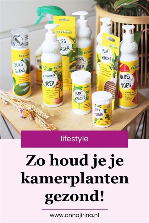 Geen Groene Vingers Tips Voor Gezonde Kamerplanten Artofit