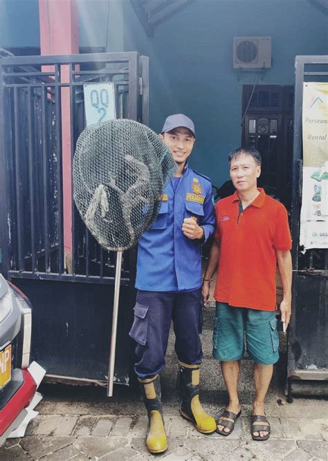 Tim Rescue Bpbd Sidaorjo Melakukan Evakuasi Biawak Di Perum Pondok