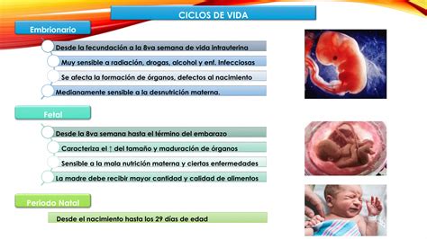 Crecimiento Y Desarrollo Pediatria Ppt