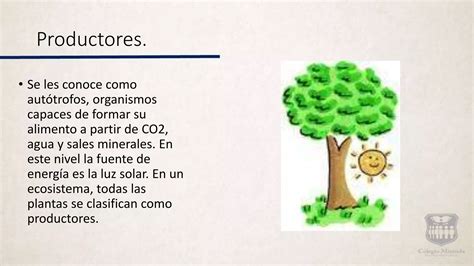 Factores Ambientales Ppt