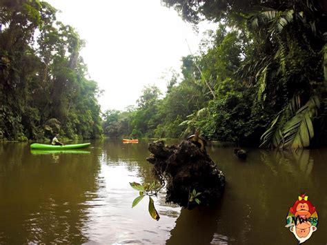 Lost In Luxury In Tortuguero National Park Costa Rica