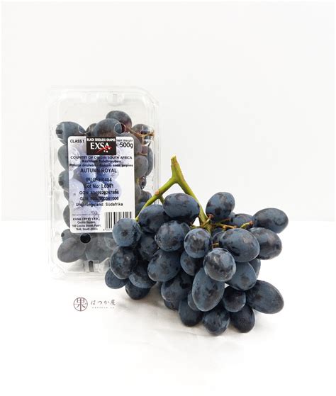 Sa Autumn Royal Black Seedless Grapes Hatsuka Ya