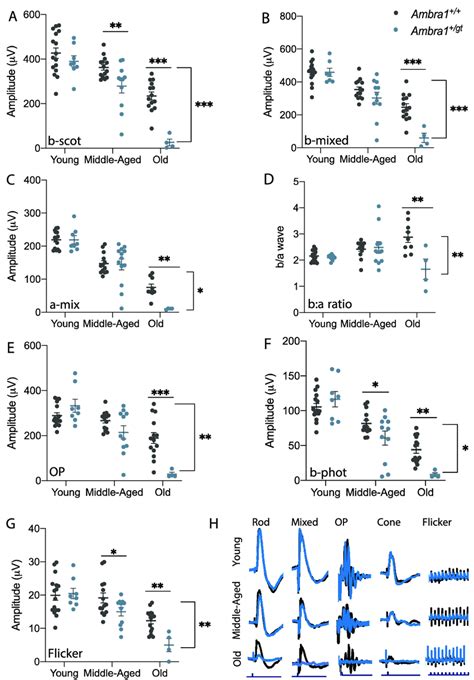 Age Dependent Vision Loss Is Exacerbated In Ambra1 Gt Mice Visual Download Scientific