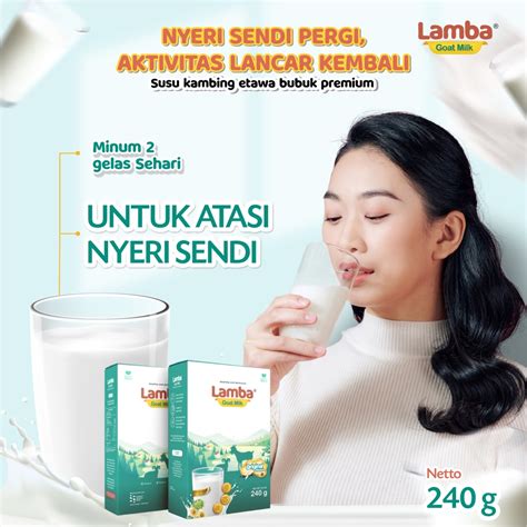 Jual LAMBA SUSU KAMBING ETAWA PREMIUM SOLUSI NYERI SENDI DAN PEGAL LINU