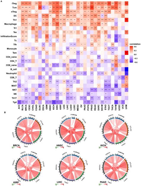 Immune Infiltration Analysis A The Correlation Between Fam B