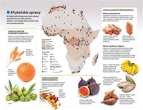 Rolnictwo W Afryce Geography Quizizz