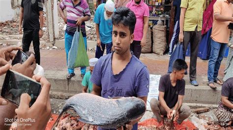 Amazing Cutting Skills Big Katla Fish Cutting By Expert Fish Cutter