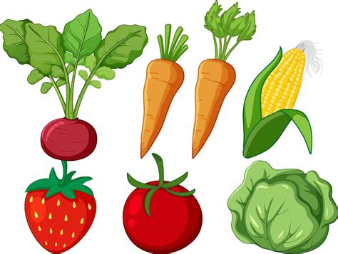 Conjunto De Dibujos Animados De Diferentes Verduras Vector En