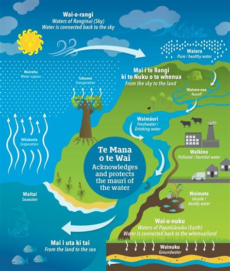 Te Mana O Te Wai The Connection Of Water Land And People Aqua Works