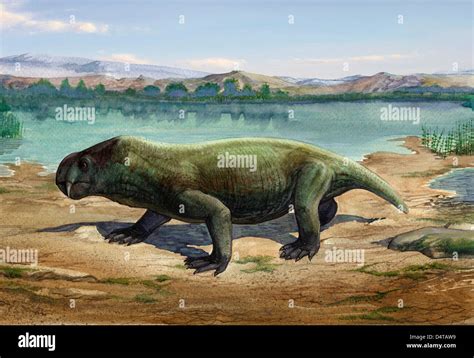 Paleozoic Animals List