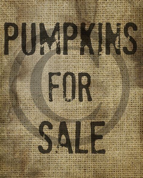 Primitive Pumpkin Pumpkins For Sale Burlap Feedsack Seed Etsy