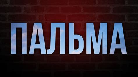 podcast | Пальма (2020) HD / советую смотреть, онлайн обзор фильма ...