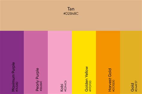 Tan Color: Its Meaning, Codes, and Top Palette Ideas - Picsart Blog