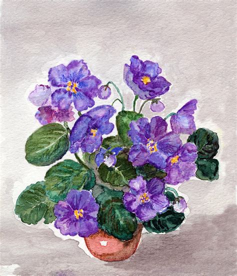 Watercolor Painting Of African Violet by Mitza