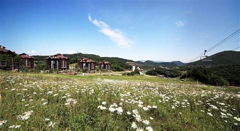 Yongpyong Ski Resort & getting there | KoreaToDo